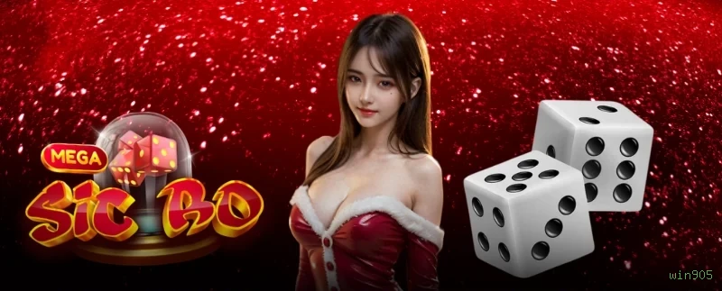 Criar Conta win905
